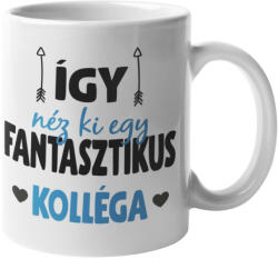 Így néz ki egy fantasztikus kolléga bögre (igy-nez-ki-egy-fantasztikus-kollega-bogre)