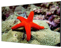 Hikvision DS-D2055LR-G