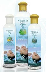 Camylle Esenta CAMYLLE pentru SPA ASIE 250 ml (3760122953604)