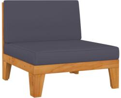vidaXL Canapea de mijloc modulară, perne gri închis, lemn masiv acacia (312151) - comfy