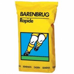 Barenbrug Seminte gazon sport Barenbrug Rapide, 5 kg