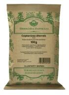 Herbária Csipkebogyó Hús Tea 100 g - netbio