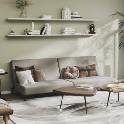 vidaXL Canapea extensibilă cu 2 locuri, gri deschis, catifea (337299) Canapea