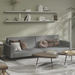 vidaXL Canapea extensibilă cu 2 locuri, gri deschis, catifea (337650) Canapea