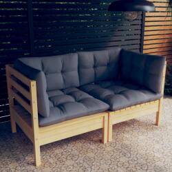 vidaXL Canapea de grădină cu 2 locuri, cu perne gri, lemn masiv pin (3096009) - vidaxl
