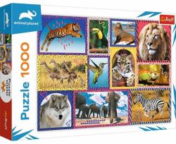 Trefl Animal Planet - Vadvilág montázs 1000 db-os (10673)