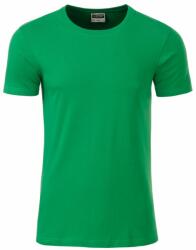 James & Nicholson (Daiber) Klasszikus férfi biopamut póló 8008 - Páfrányzöld | 3XL (1-8008-1778964)