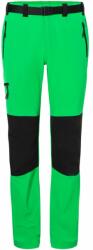 Daiber Pantaloni de trekking pentru bărbați JN1206 - Ferigă / neagră | 2XL (JN1206-1772042)