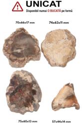 Fosil Lemn Mineral Natural Neregulat - 57-75 x 44-66 x 11-17 mm - ( XXL ) - Unicat