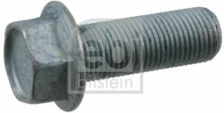 Febi Bilstein Surub FEBI BILSTEIN 21607 (21607)