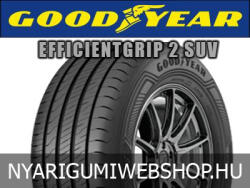 Goodyear EfficientGrip 2 SUV 225/70 R16 103H