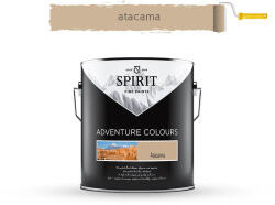 SPIRIT БОЯ ИНТЕРИОРНА spirit ac 2.5л atacama (20-101109)