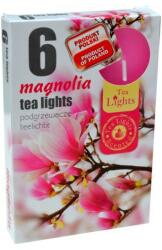 Tea lights Illatos teamécses magnólia 6 db