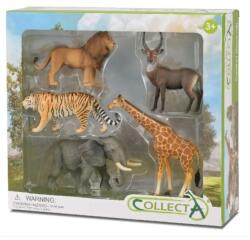 CollectA Set 5 buc figurine Animale Salbatice (COL89992WB)