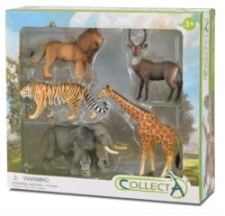 CollectA Set 5 buc figurine Animale Salbatice (COL89992WB) Figurina