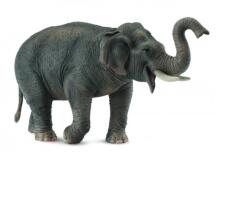 CollectA Figurina Elefant asiatic XL (COL88486XL)