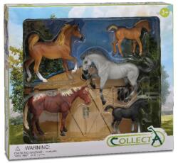 CollectA Set 5 figurine Cai (COL89529WB) Figurina