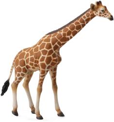 CollectA Figurina Girafa XL (COL88534XL)