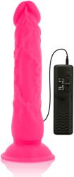  Vibrator flexibil Diversa cu telecomanda si ventuza 21 cm roz Vibrator