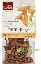 WOHLRAB Ciuperci Galbiori Deshidratati Ecologici/Bio 20g