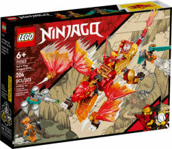 LEGO® NINJAGO® - Kai's Fire Dragon EVO (71762)