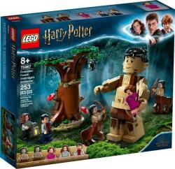 LEGO® Harry Potter™ - Forbidden Forest Umbridge's Encounter (75967) LEGO