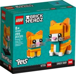 LEGO® Brickheadz Ginger Tabby (40480)