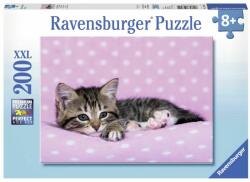 Ravensburger Pisicuță drăguță pe o pătură roz de 200 de piese (2412824) Puzzle