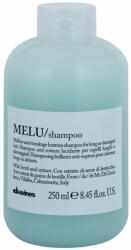 Davines Essential Haircare Melu tápláló sampon 250 ml