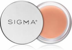 Sigma Beauty Hydro Melt Lip Mask mască hidratantă pentru buze cu acid hialuronic culoare Hush 9, 6 g