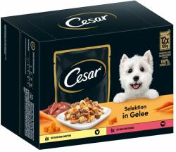 Cesar 48x100g Cesar hús- és zöldségválogatás aszpikban nedves kutyatáp