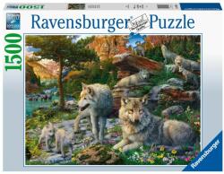 Ravensburger Tavaszi farkasok 1500 db-os (16598)