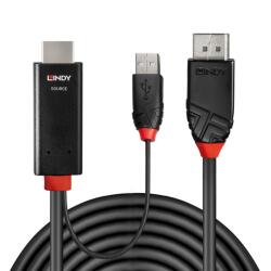 Lindy Cablu HDMI la Displayport 4K60Hz cu alimentare USB T-T 2m, Lindy L41499 (L41499)