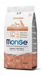 Monge All Breeds Adult Salmon and Rice száraz kutyatáp - 2x12 kg