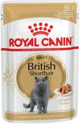 Royal Canin Shorthair Adult szószos - 12x85 g