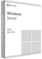 Microsoft Windows Server 2022 (1 User) (CAL DG7GMGF0D5VX:0027)