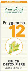PlantExtrakt - Polygemma 12 (Rinichi Detoxifiere) PlantExtrakt 50 ml 50 ml - vitaplus
