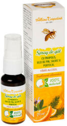 Albina Carpatina - Spray de gât cu propolis, ulei de pin, salvie și portocal Albina Carpatină, 20 ml, Apicola Pastoral - vitaplus