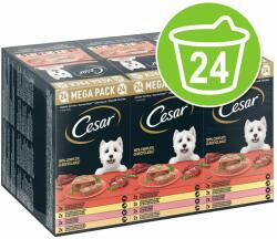 Cesar 24x150g Cesar tálcás nedves kutyatáp - Klasszikus terrine