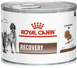 Royal Canin Royal Canin Veterinary Diet Feline Recovery Ultra Soft Mousse - 24 x 195 g