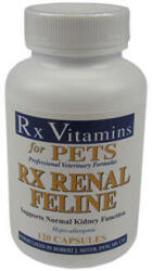  RX Renal Feline 120 x