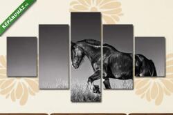 Többrészes Vászonkép, Partner Kollekció: Ló fekete-fehérben(135x70 cm, S01)