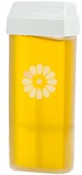Ro.ial Ceara epilat cu Miere de unica folosinta 100ml - ROIAL