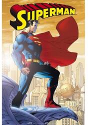 Abysse Corp DC Comics "Superman" 91, 5x61 cm poszter (ABYDCO754)