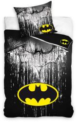 Sonne Set lenjerie de pat pentru copii Sonne - Batman Steel logo, 2 piese (BAT211010-13)
