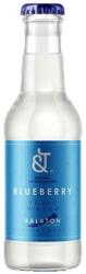 &T Tonics Blueberry Tonic Water 200ml - ginshop