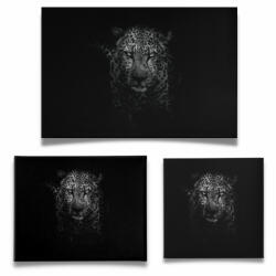 Dark Leopárd - Vászonkép (123590)