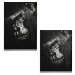 A Gorilla - Vászonkép (gorilla21)