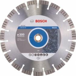 Bosch Disc diamantat granit/piatra 300x20/25.4 Best - 3165140581530 Disc de taiere