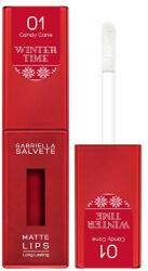 Gabriella Salvete Winter Time Matte Lips 02 Frozen Berry 4,5ml